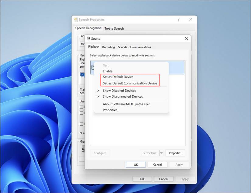 Choose to set your microphone as the default device