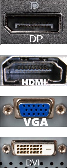 Display ports on a graphics card showing HDMI, DisplayPort, and DVI connections