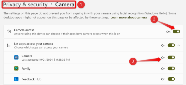 Windows 11 camera privacy settings